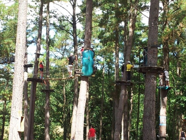 Diversion en el parque de árboles